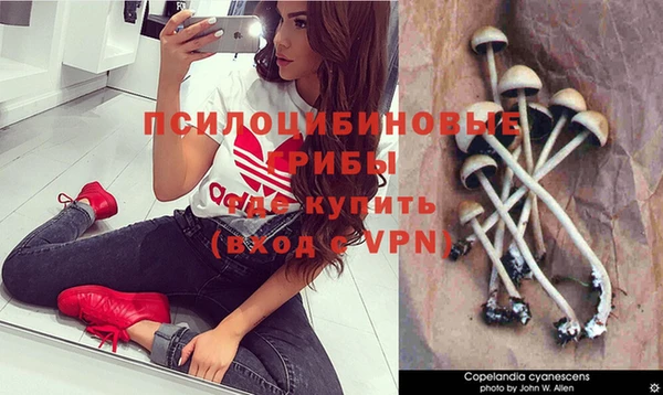 мяу мяу кристалл Мегион