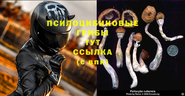 мескалин Медногорск