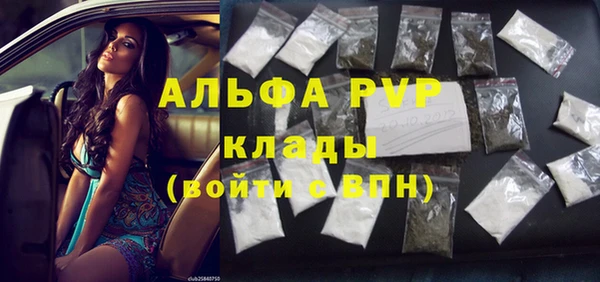 СК Медвежьегорск