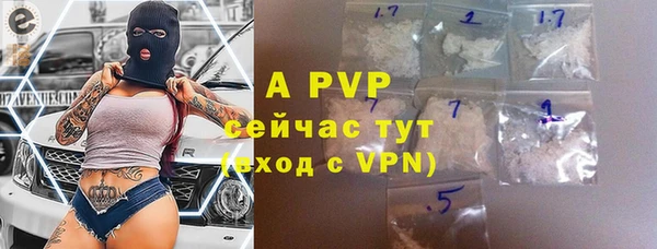 СК Медвежьегорск