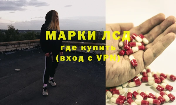 СК Медвежьегорск