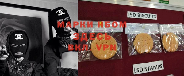 СК Медвежьегорск
